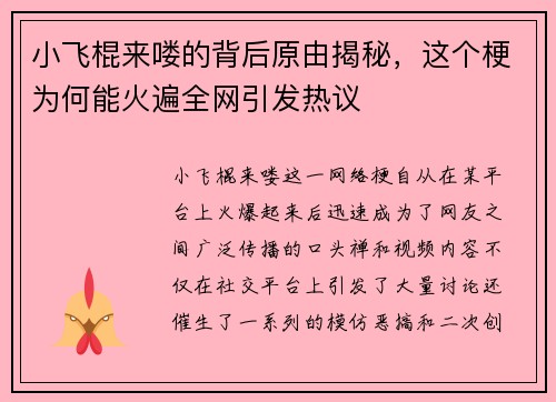 小飞棍来喽的背后原由揭秘，这个梗为何能火遍全网引发热议